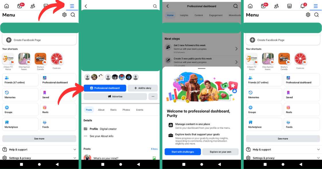 A screenshot of how to enable Professional Mode. A screenshot of how to enable Professional Mode.