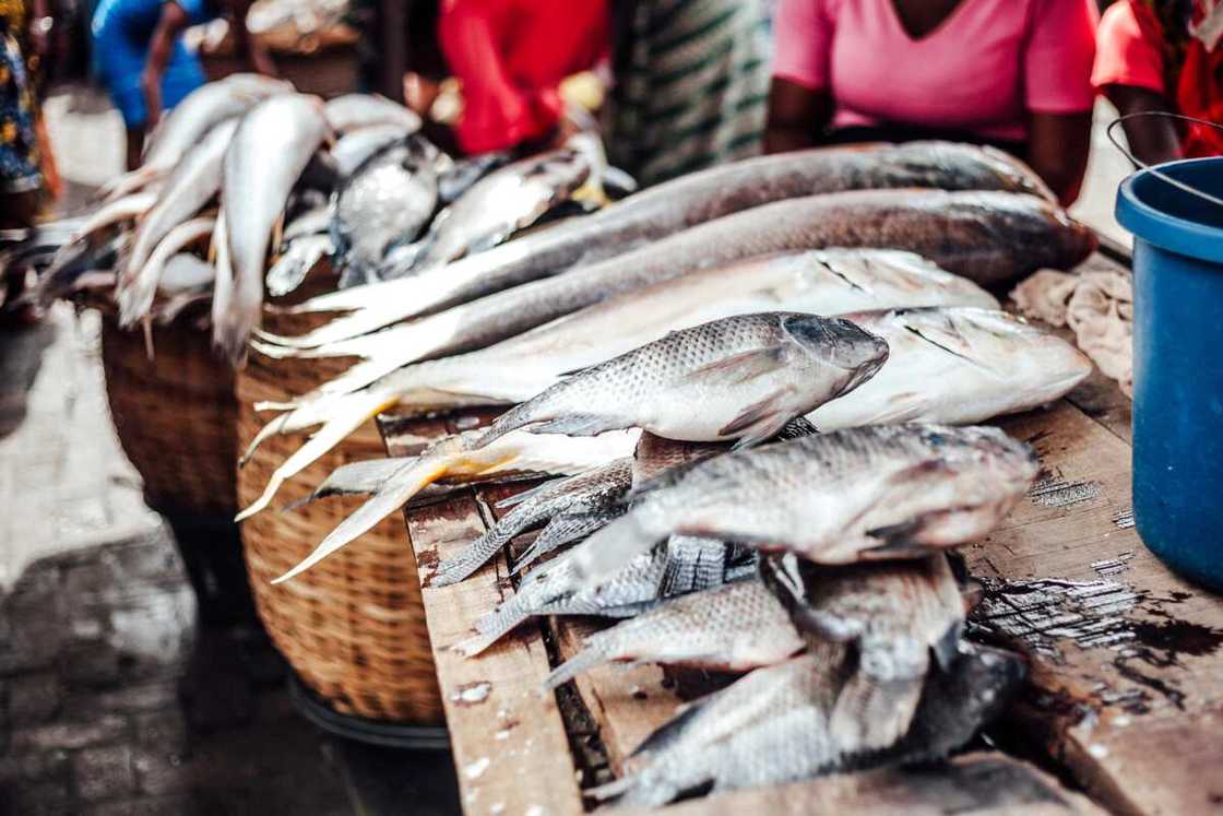 Faroe Islands, Mauritania list of 9 countries Nigeria imported N123.8 billion worth of fish in 6 months