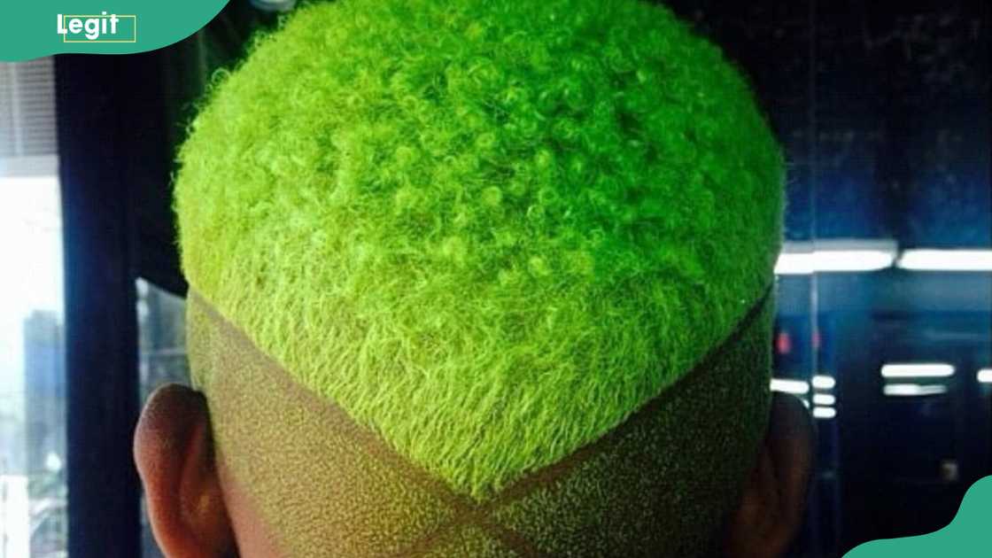 Green-crowned fade with X design Green-crowned fade with X design