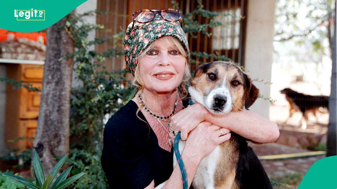 Brigitte Bardot, jarumar fina finan Faransa ta rasu tana da shekaru fiye da 90