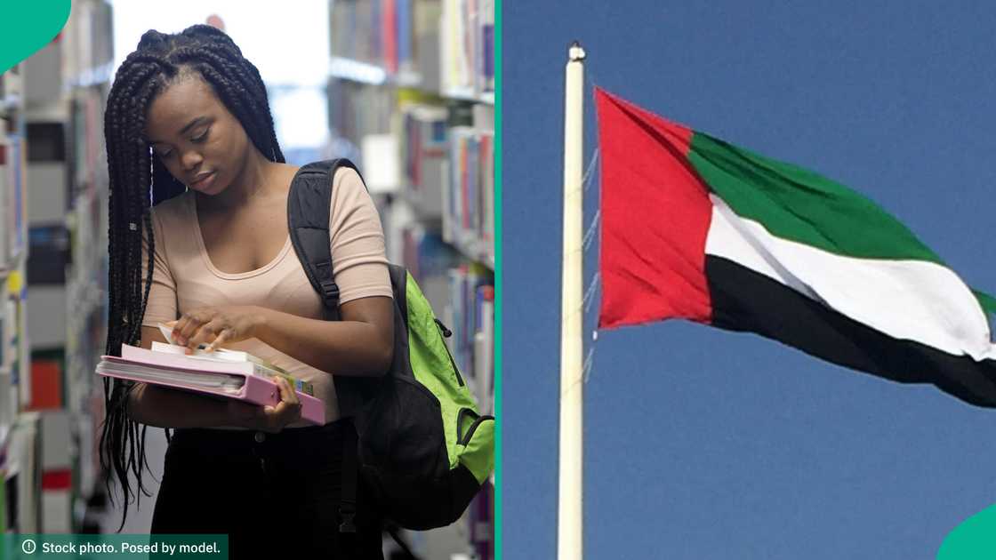 See 4 conditions foreign students must meet for UAE residency permit