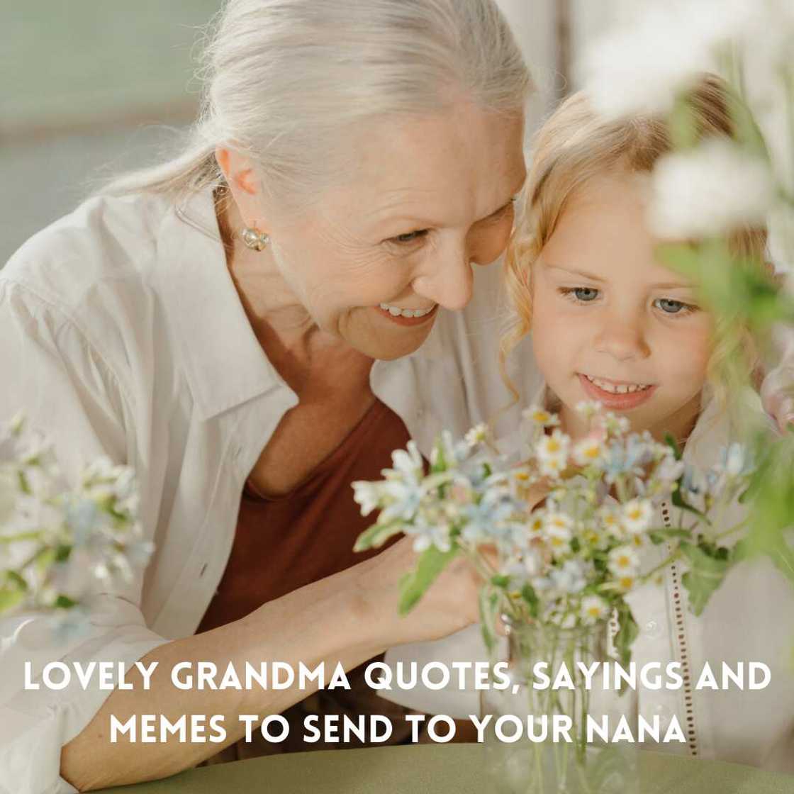Grandma quotes