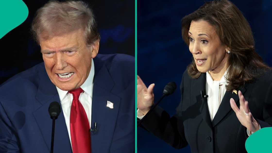 US debate: Shehu Sani identifies “best presidential material” between Kamala Harris and Donald Trump