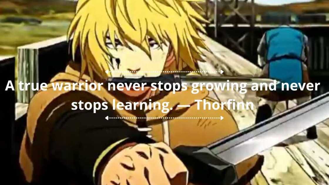 Thorfinn's quotes