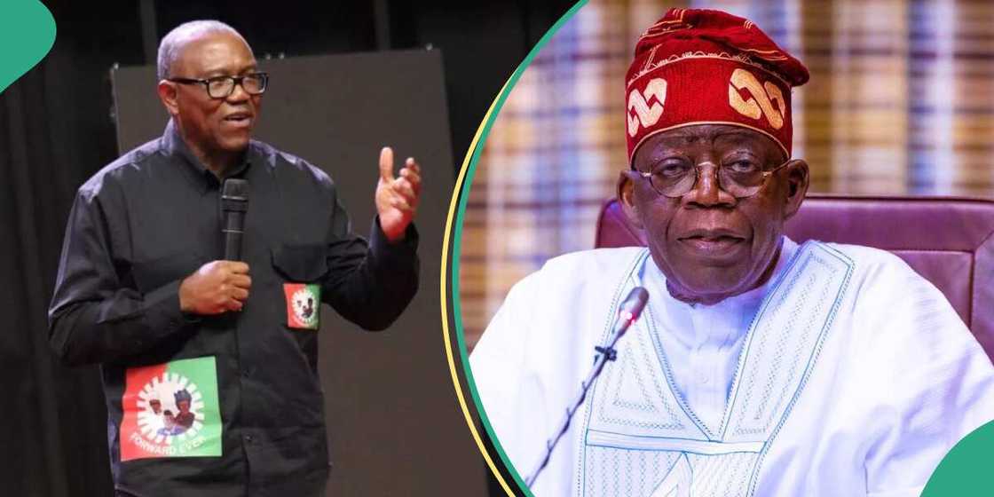 Peter Obi can’t work with President Tinubu’s government Peter Obi can’t work with President Tinubu’s government