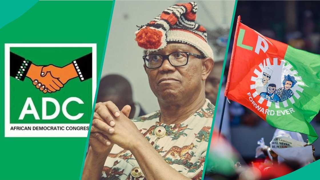 Analysts list five reasons Peter Obi faces likely defeat in the 2027 election despite his growing presidential ambition. Analysts list five reasons Peter Obi faces likely defeat in the 2027 election despite his growing presidential ambition.