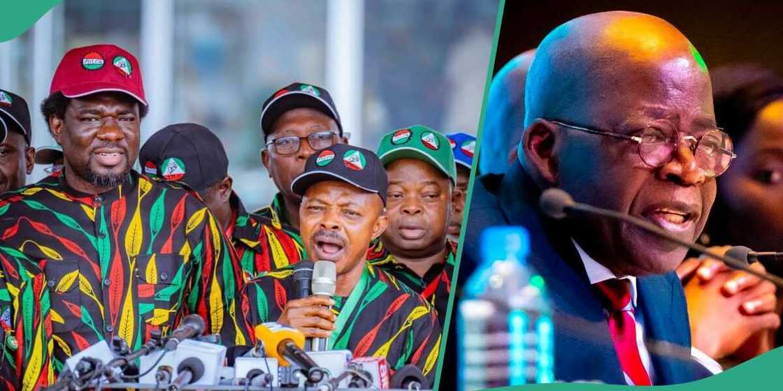 An bukaci Bola Tinubu da ya tuntubi 'yan kwadago kafin ya aika sabon mafi karancin albashi ga majalisar tarayya An bukaci Bola Tinubu da ya tuntubi 'yan kwadago kafin ya aika sabon mafi karancin albashi ga majalisar tarayya