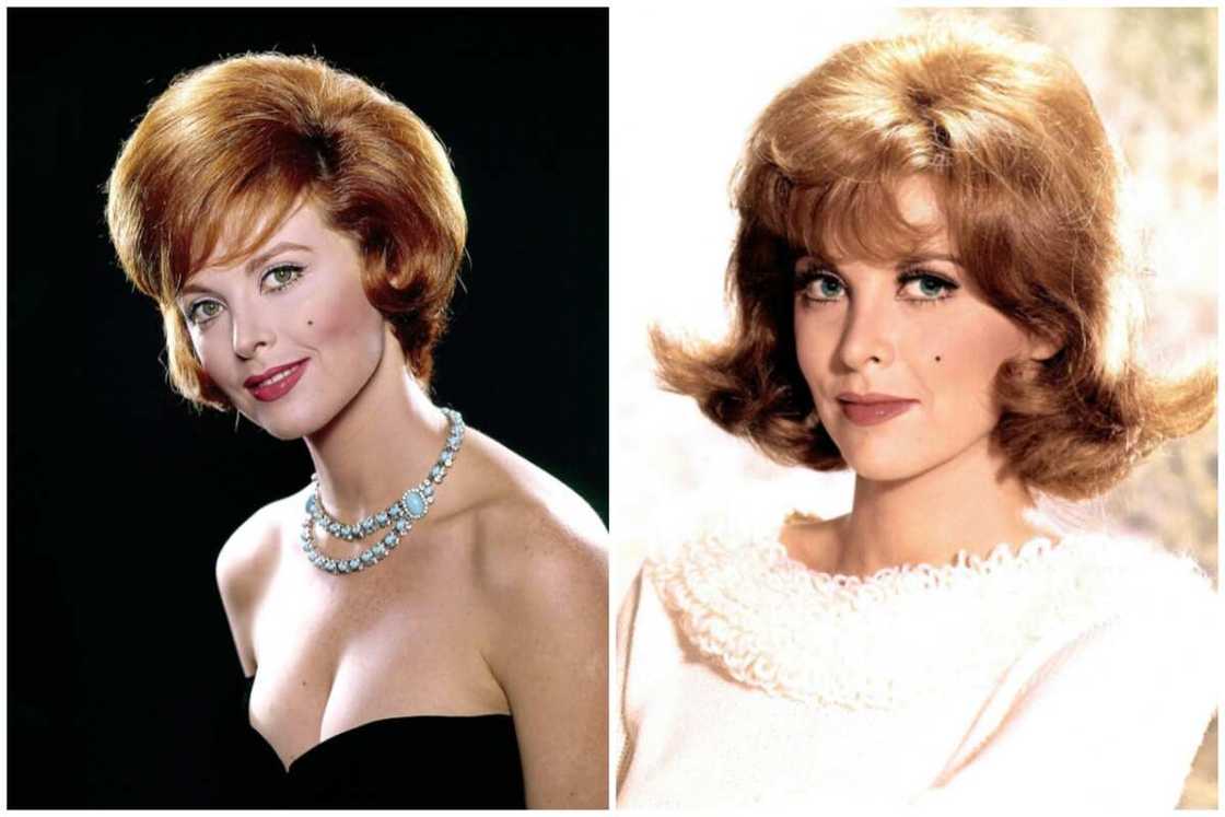 Ginger Grant from Gilligan's Island Ginger Grant from Gilligan's Island