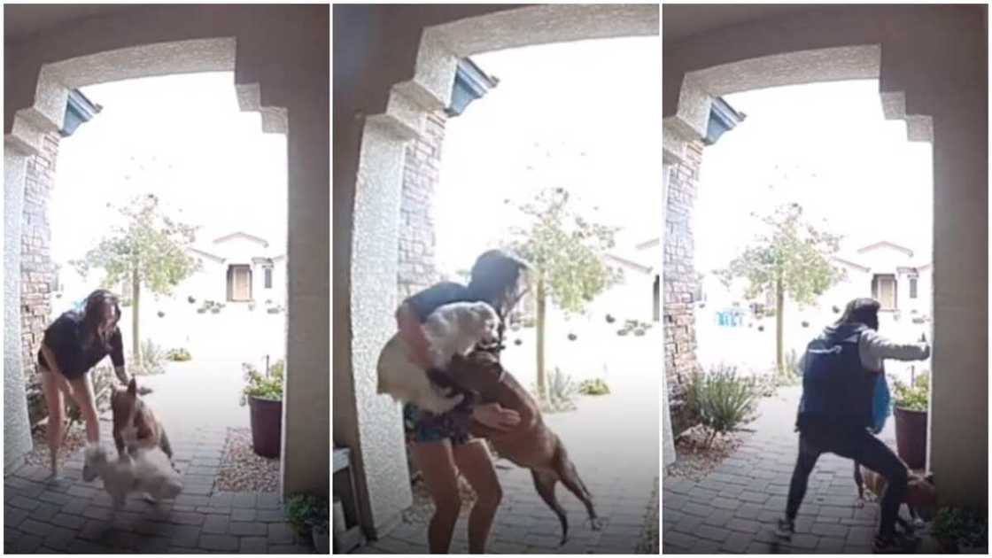 The woman screamed for help. The woman screamed for help.