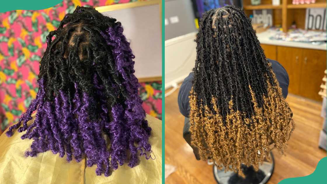 Ombre butterfly locs