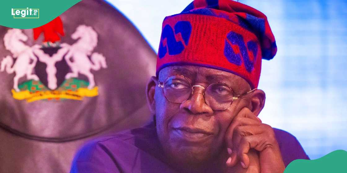 Tinubu advises Nigerians in diaspora to return home