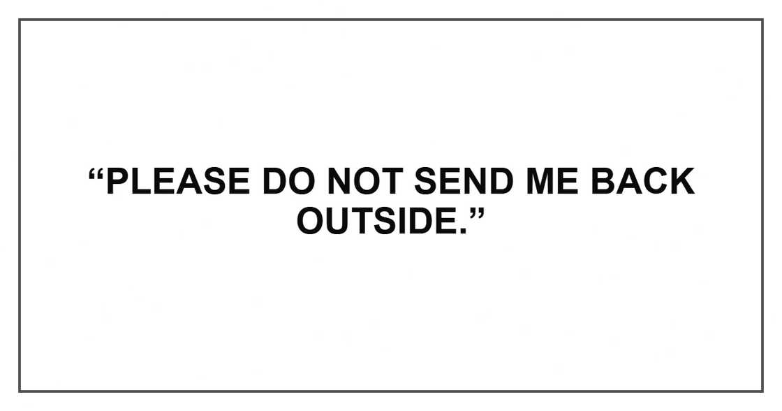 “Please do not send me back outside.” “Please do not send me back outside.”