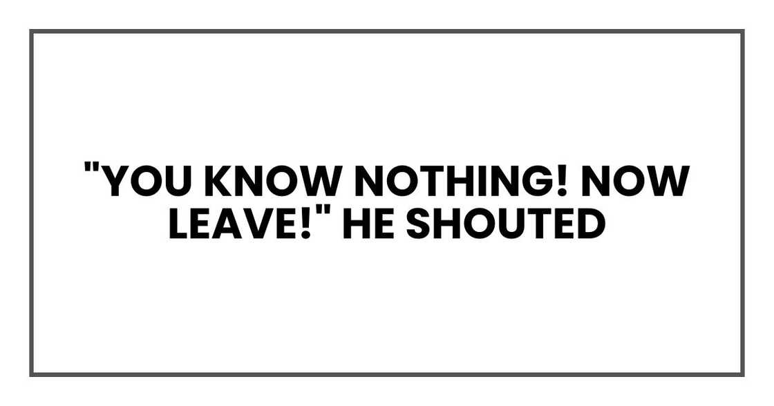 "You know nothing! Now leave!" he shouted "You know nothing! Now leave!" he shouted