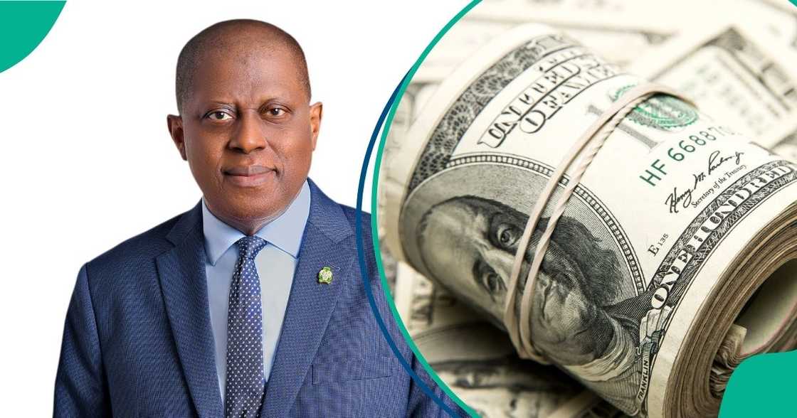 The federal government targets Nigerians abroad with dollar