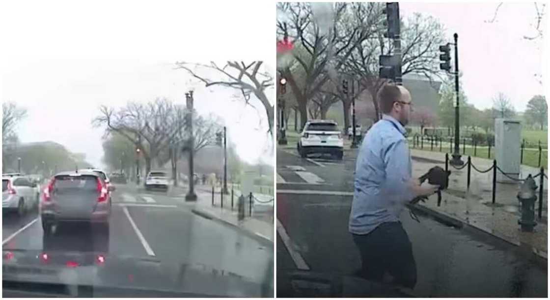 Nice video captures man giving an umbrella to the stranger sitting on a wheelchair under the rain. Nice video captures man giving an umbrella to the stranger sitting on a wheelchair under the rain.