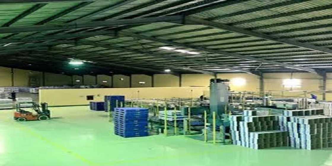 Da rana tsaka 'yan Indiya ke lalata da ma'aikata mata - Ma'aikatan kamfanin Atiku Da rana tsaka 'yan Indiya ke lalata da ma'aikata mata - Ma'aikatan kamfanin Atiku