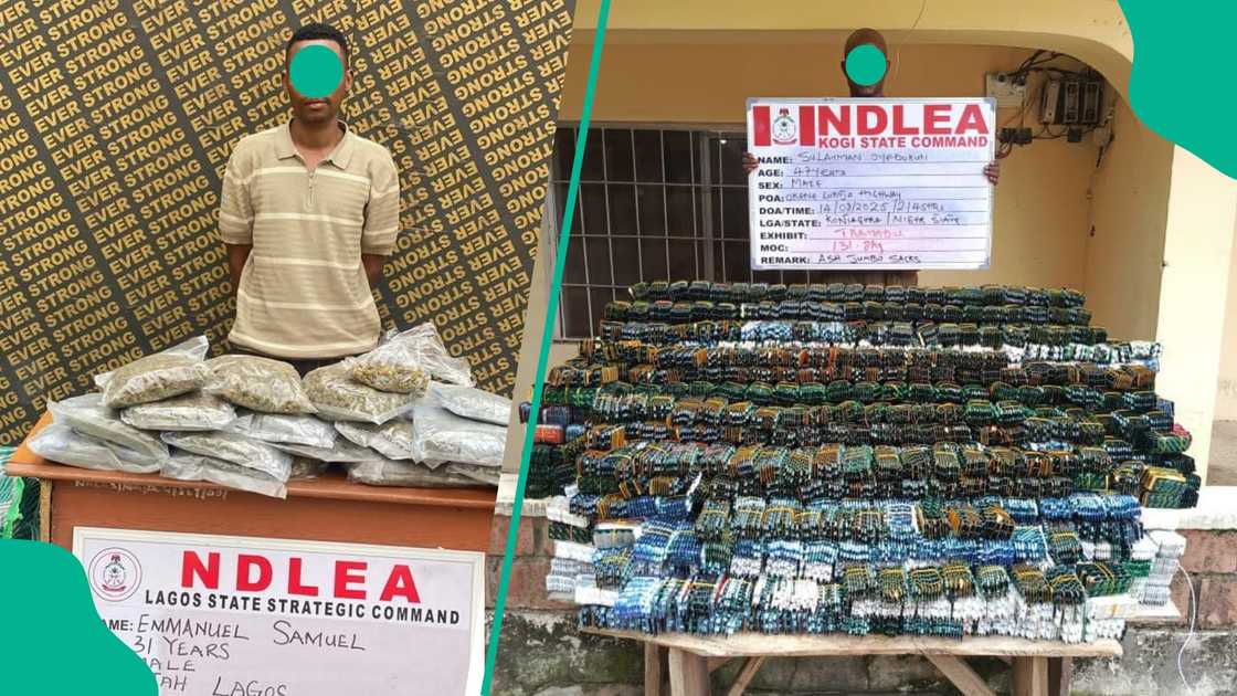 NDLEA ta kama babban dillalin kwayoyi da ta yi shekaru uku tana farautarsa a Rives