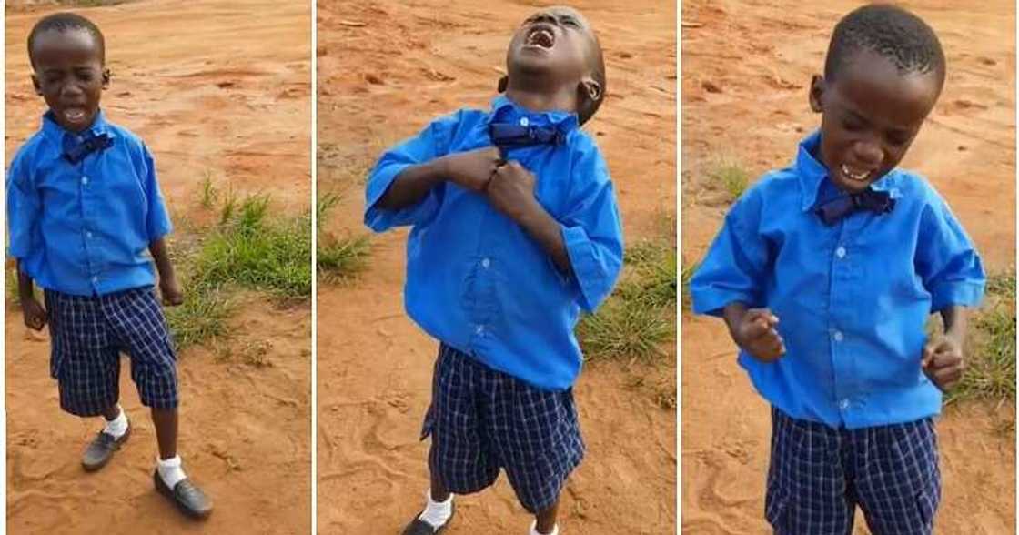 Little boy sings, passion, assembly Little boy sings, passion, assembly
