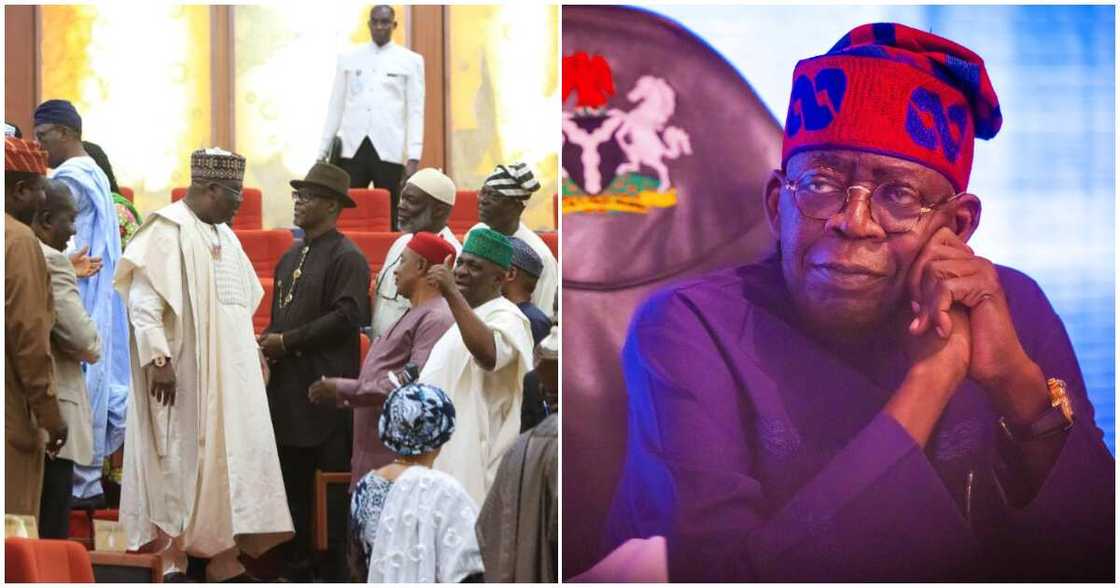 Tinubu/President Bola Tinubu Tinubu/President Bola Tinubu