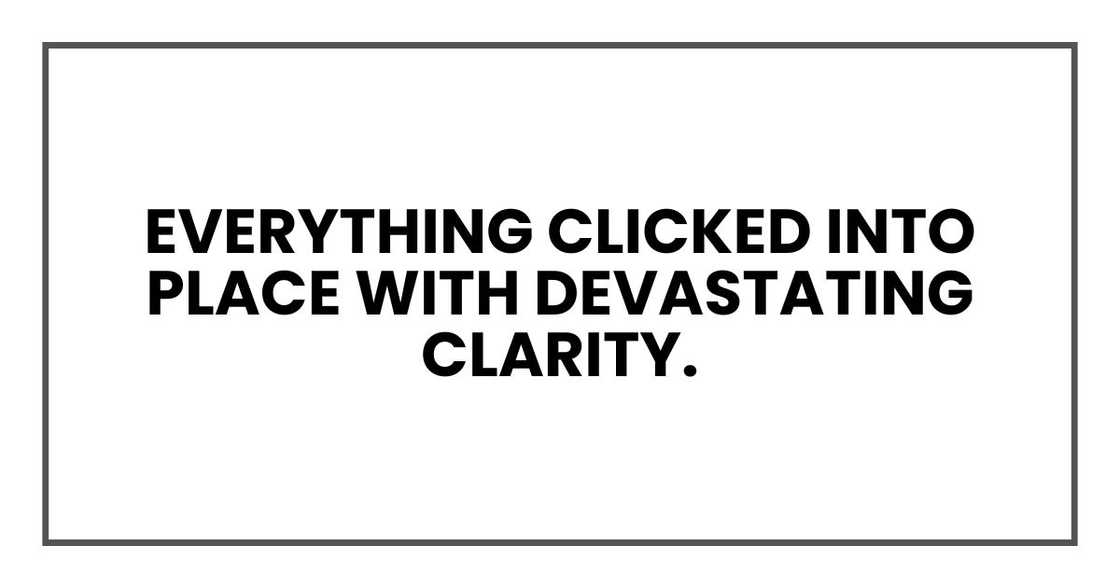 Everything clicked into place with devastating clarity. Everything clicked into place with devastating clarity.