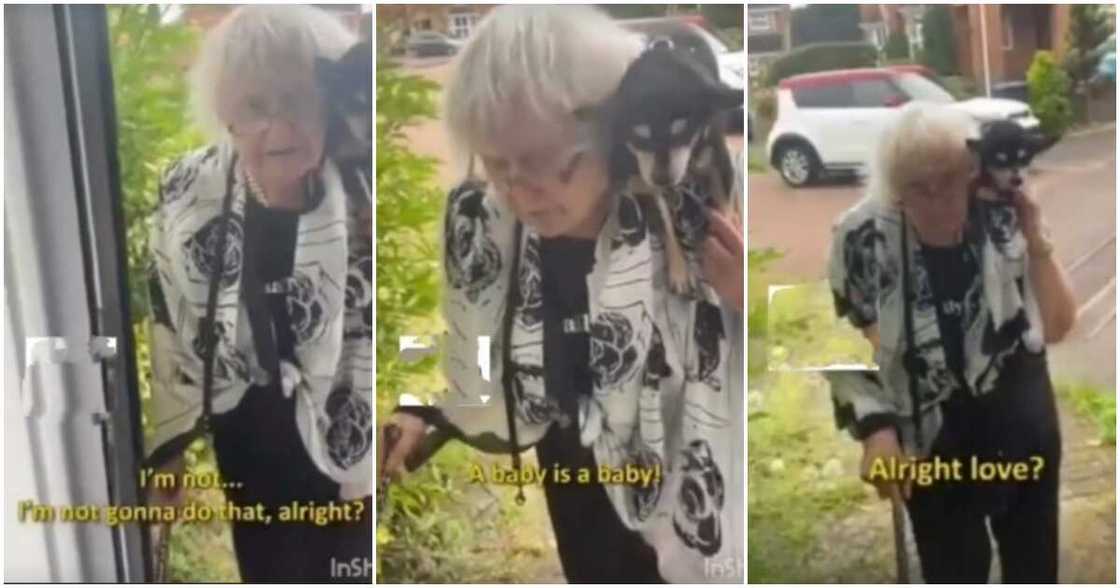 Crying baby and dog, neighbour, elderly woman, baby vs dog