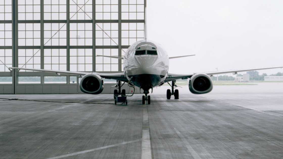 NCAA reinstates licence of airline NCAA reinstates licence of airline