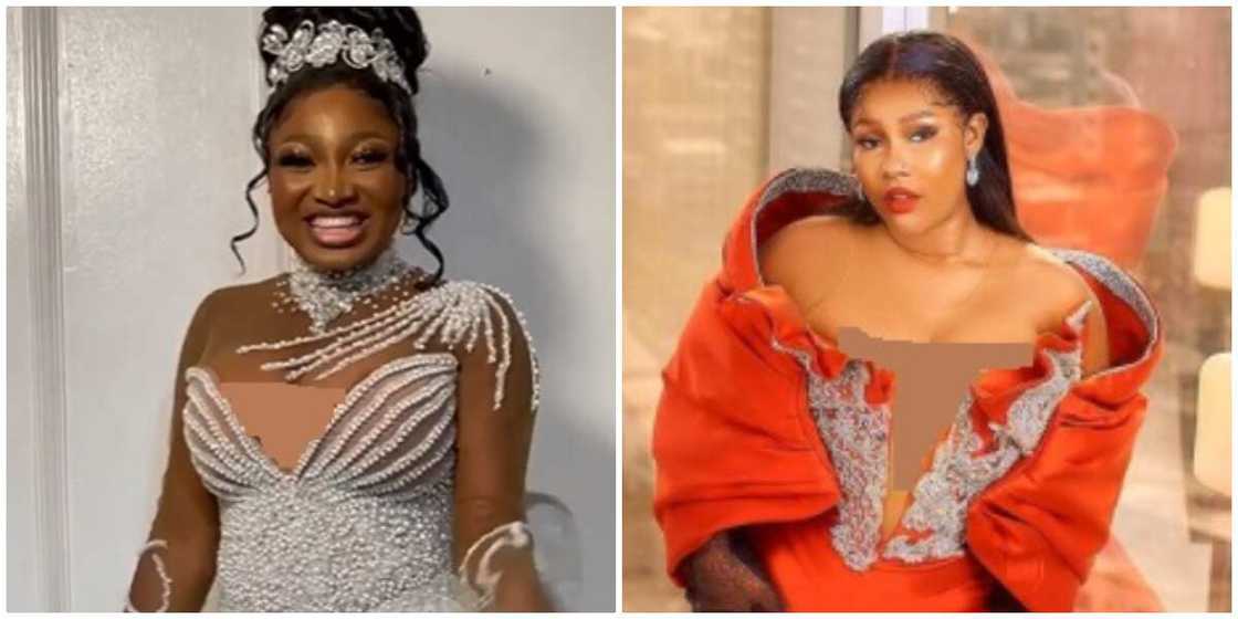 Photos of Papaya Ex and Kamari. Photos of Papaya Ex and Kamari.