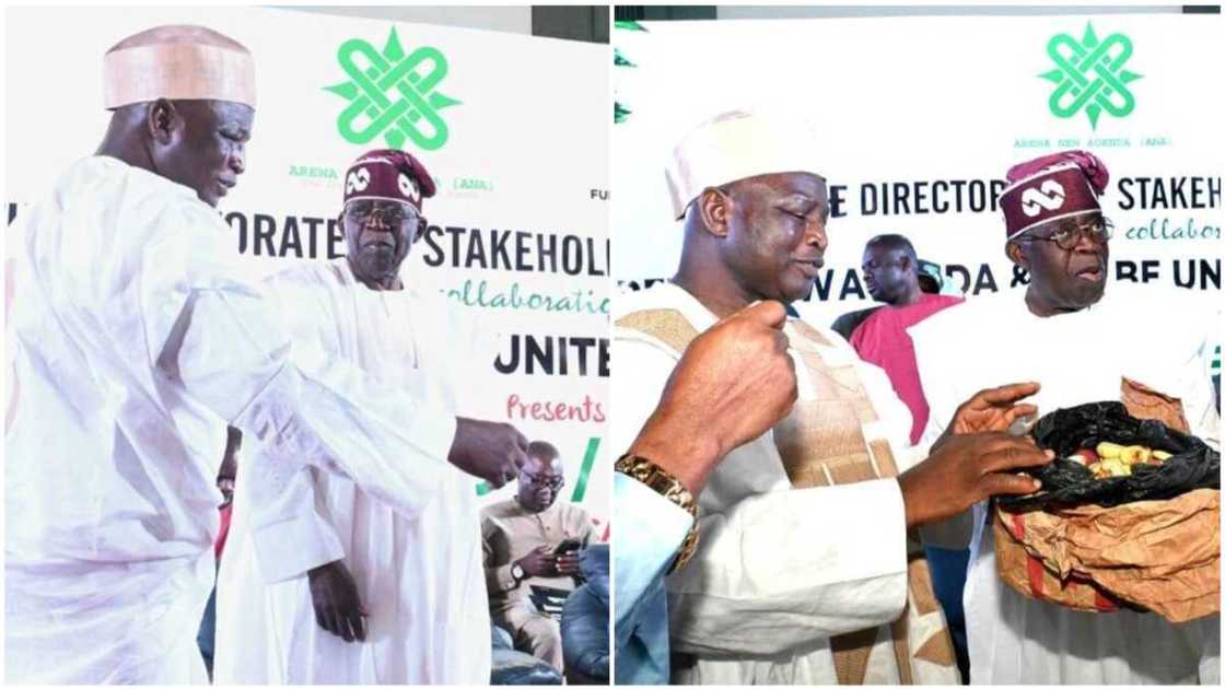 Bola Tinubu/Fulani/APC/2023 Election/PDP/Atiku Abubakar Bola Tinubu/Fulani/APC/2023 Election/PDP/Atiku Abubakar