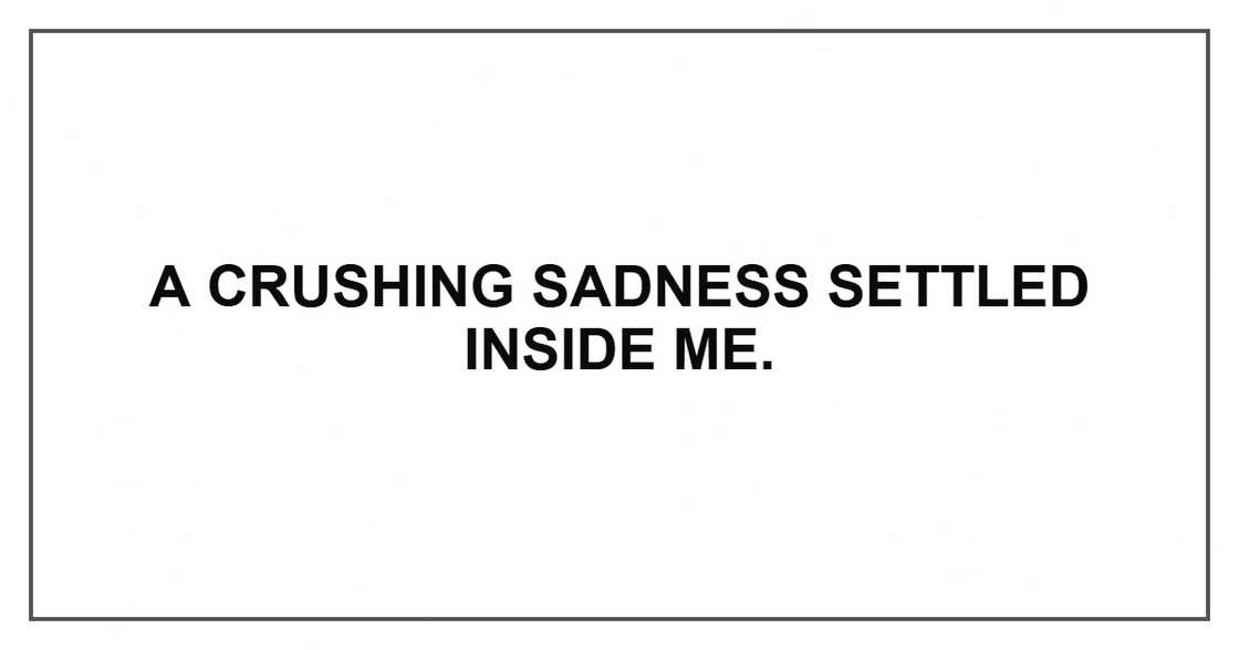 A crushing sadness settled inside me.
