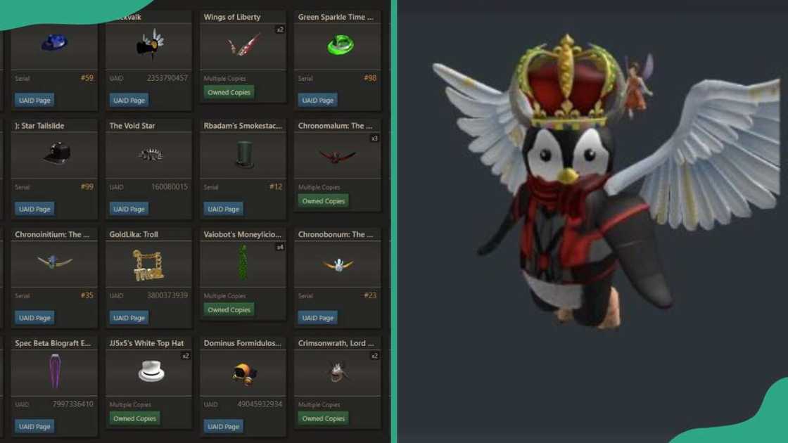 Richest player in Roblox Richest player in Roblox