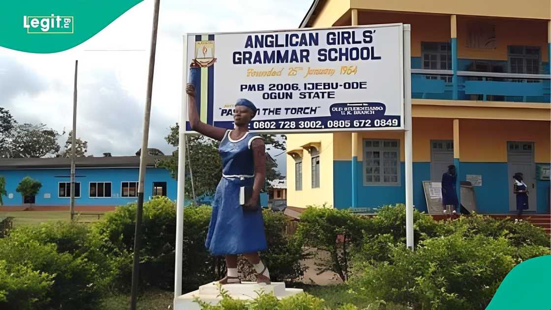Fresh gas leak in Ogun sparks chaos as emergency teams rush to multiple affected schools.