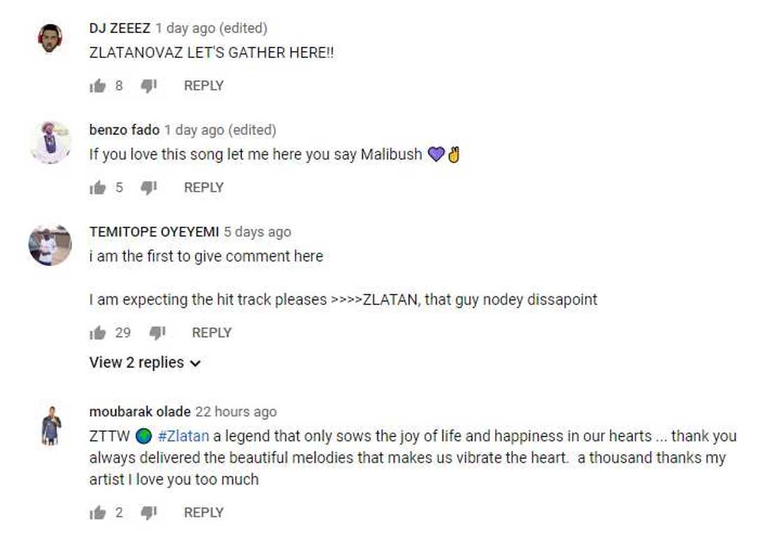 Zlatan - This Year Zlatan - This Year