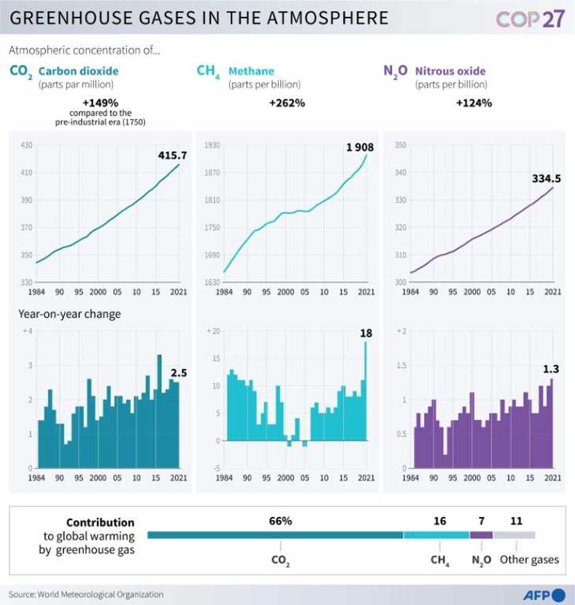 Greenhouse gases in the atmosphere