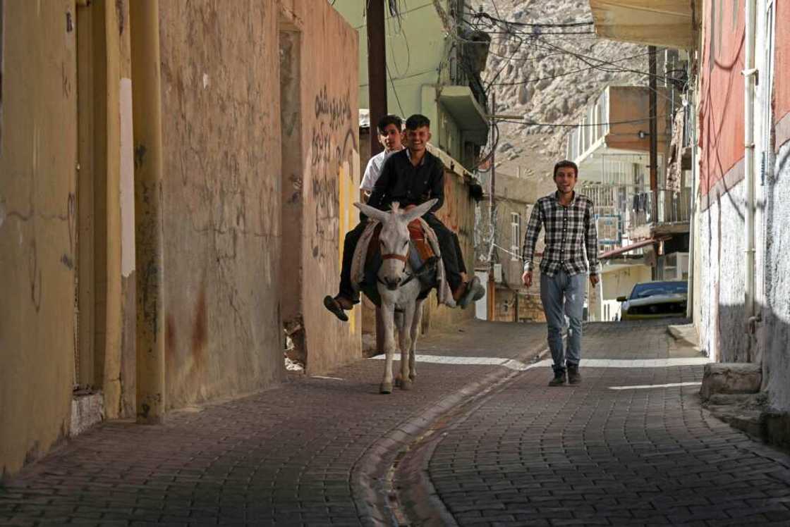 Many of Akre's narrow alleyways can only be navigated by donkeys and wind through a historic city centre Many of Akre's narrow alleyways can only be navigated by donkeys and wind through a historic city centre