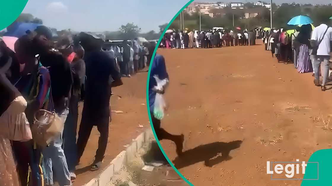 Crowded Unilorin shuttle park with students in a long, slow-moving queue. Crowded Unilorin shuttle park with students in a long, slow-moving queue.