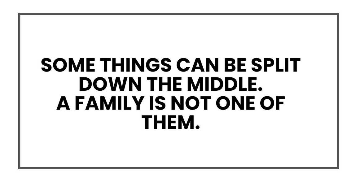 Some things can be split down the middle.
A family is not one of them. Some things can be split down the middle.
A family is not one of them.