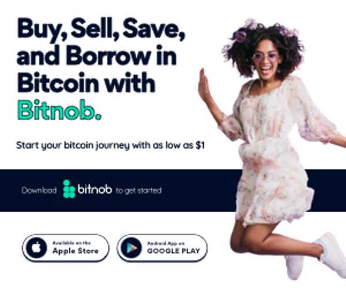 Bitnob: You Might be Losing Money Without Realizing it Early Enough Bitnob: You Might be Losing Money Without Realizing it Early Enough