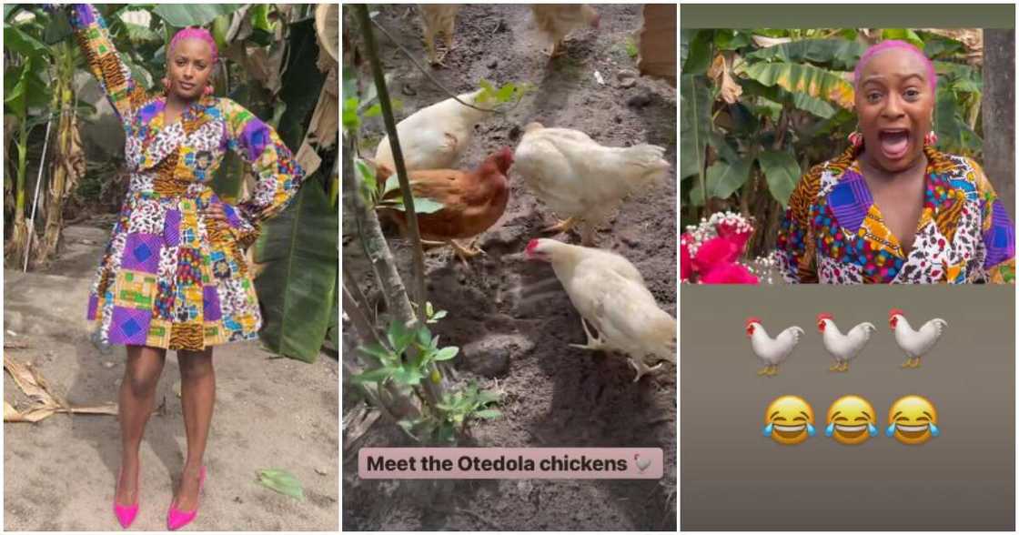 DJ Cuppy screams for poultry birds