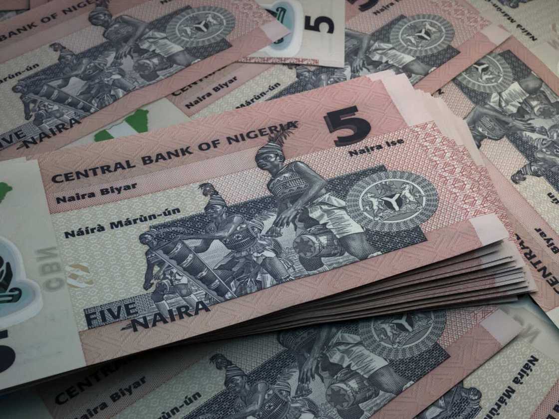 Nigerian currency notes and coins Nigerian currency notes and coins