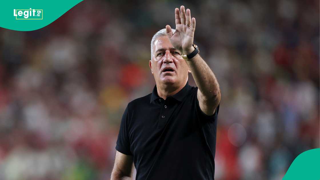 Vladimir Petkovic, Desert Foxes, Algeria, FIFA World Cup, USA.