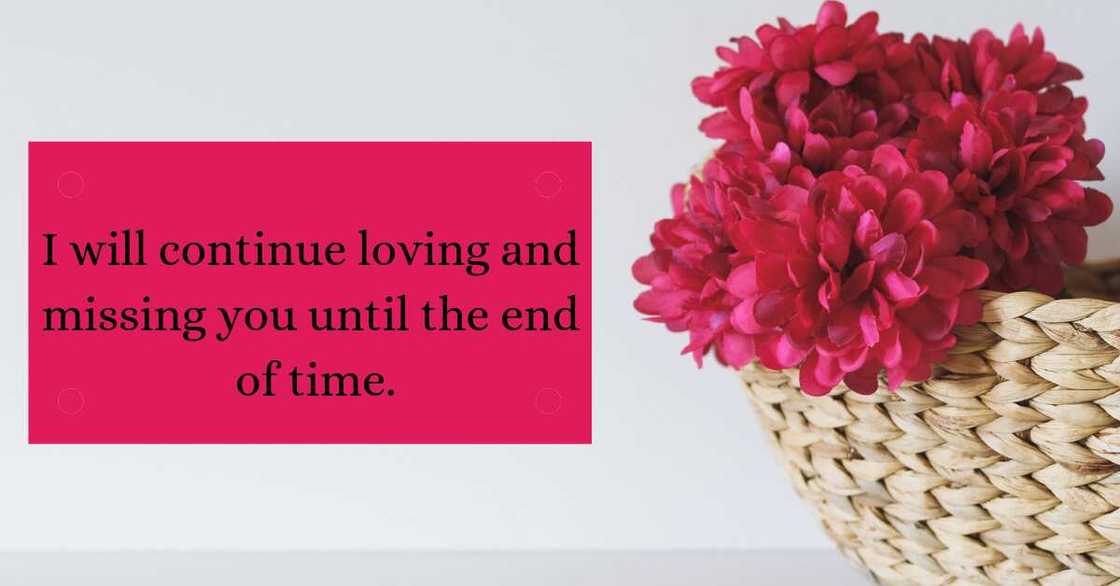 Tender words Tender words