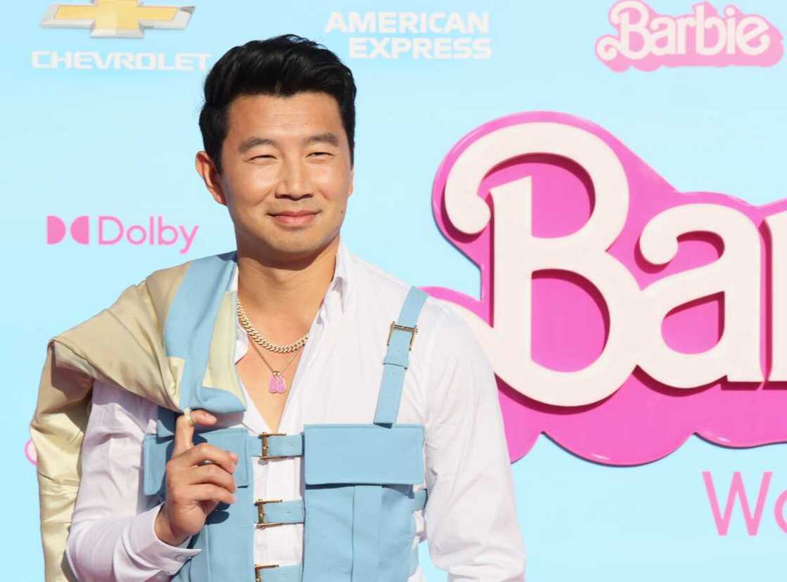 Asian Hollywood actors Asian Hollywood actors