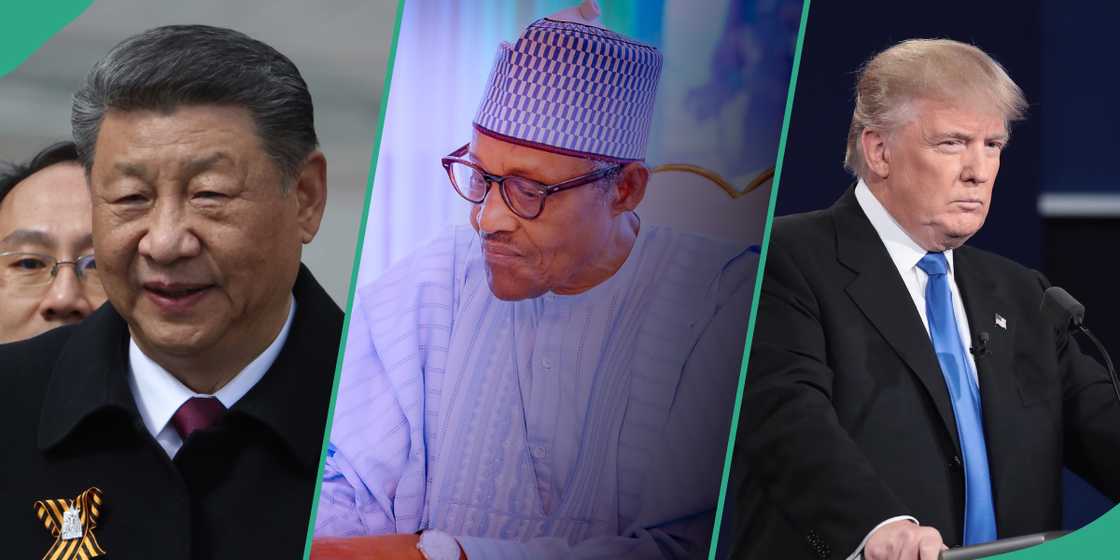 Xi Jinping, Donald Trump, Muhammadu Buhari Xi Jinping, Donald Trump, Muhammadu Buhari