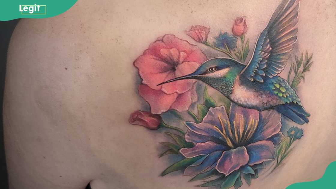 Realistic hummingbird tattoo