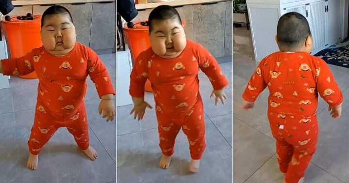 Chubby little child dances Chubby little child dances