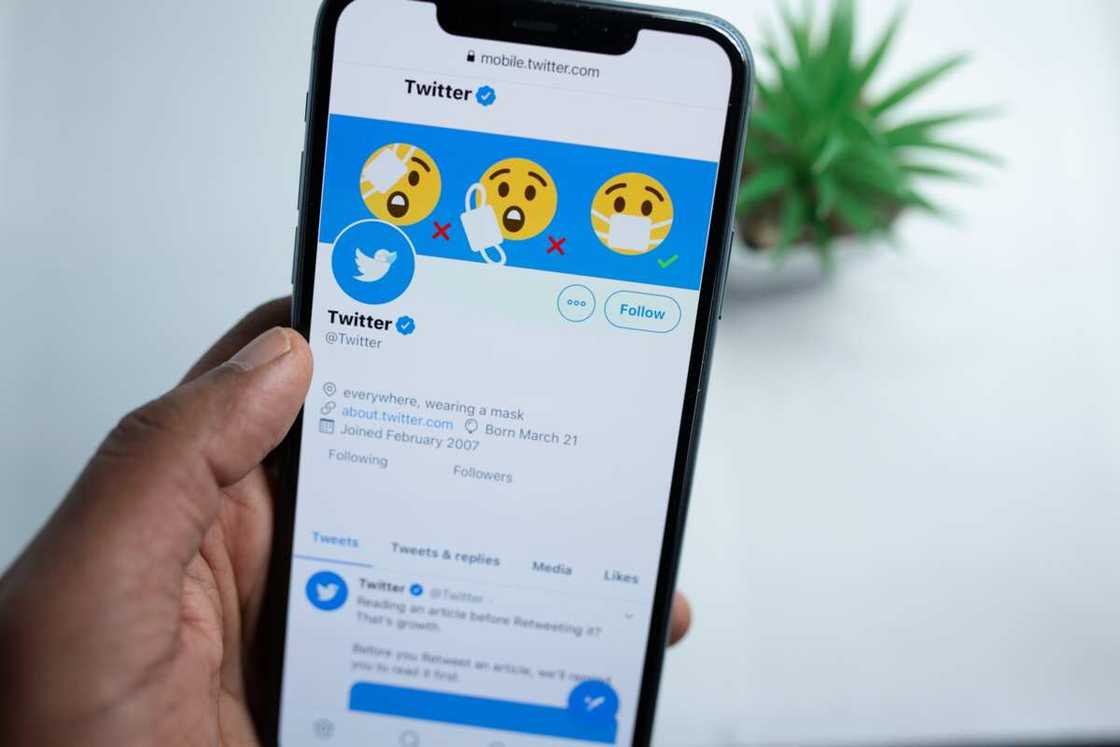 disadvantages of social media in politics disadvantages of social media in politics