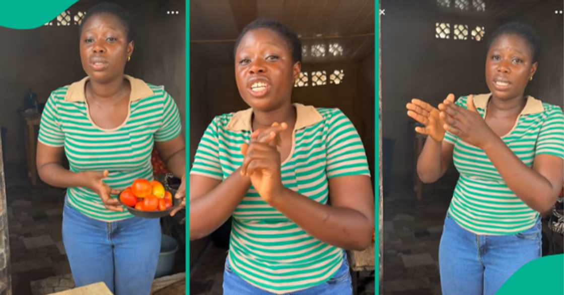 Nigerian lady begs people to patronise her mother's tomatoes business.