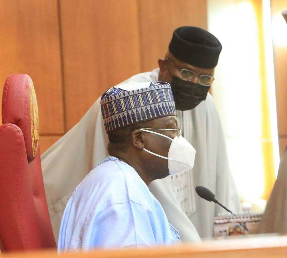 Nigeria Senate Honours Osinachi Nigeria Senate Honours Osinachi