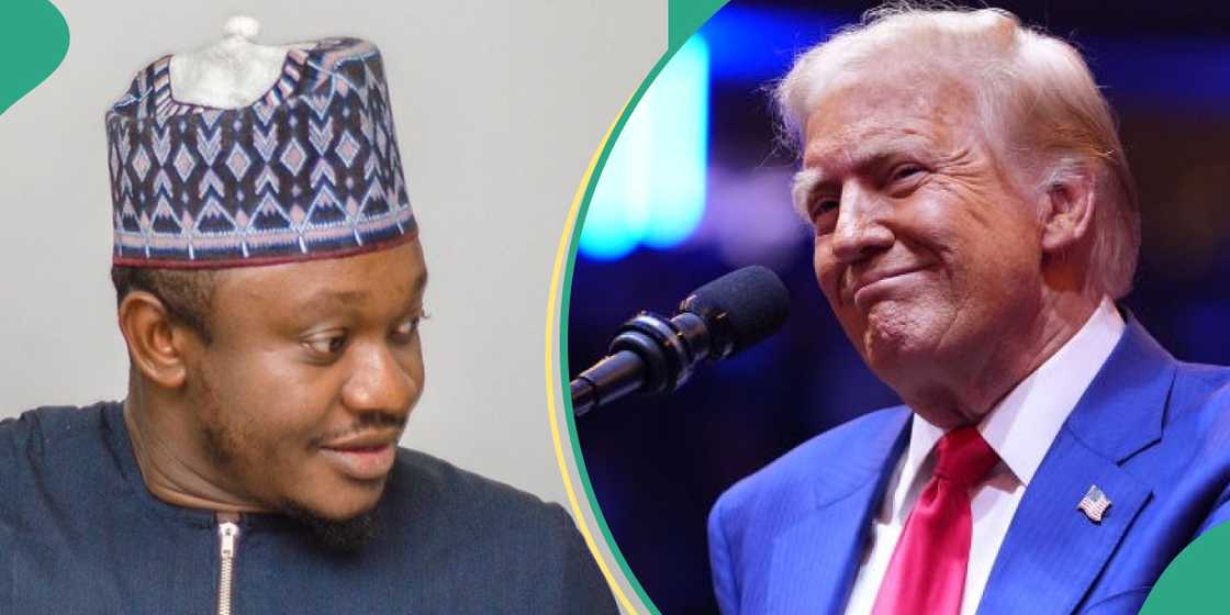 PDP chieftain tackles Nigerians on involvement in US election PDP chieftain tackles Nigerians on involvement in US election