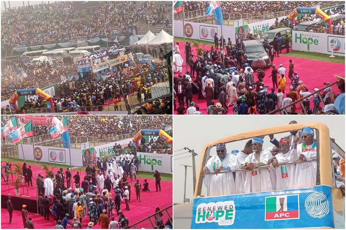 APC, Tinubu APC, Tinubu